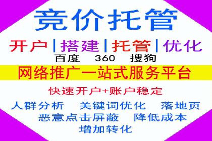 搜索引擎营销（SEM）竞价策略案例